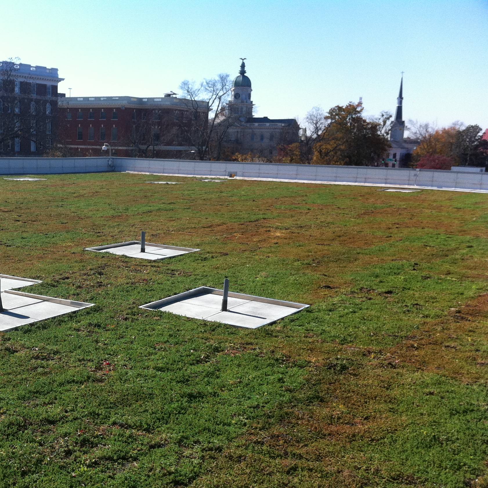 vegetated roofing