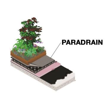 Paradrain