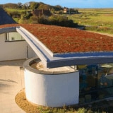 paragreen roof
