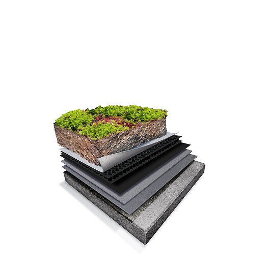 Siplast’s Extensive Living Roof System