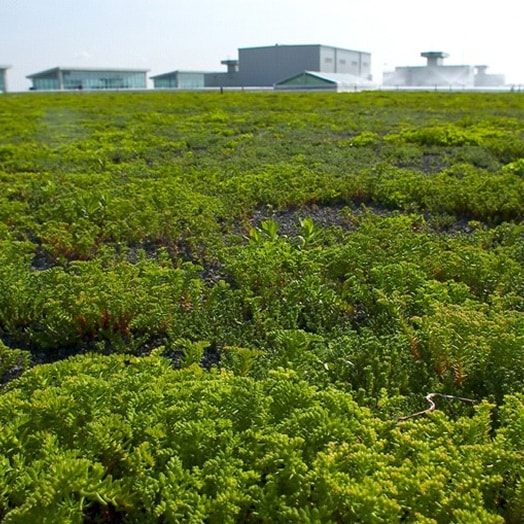 Modular and pre-vegetated green roof system installation