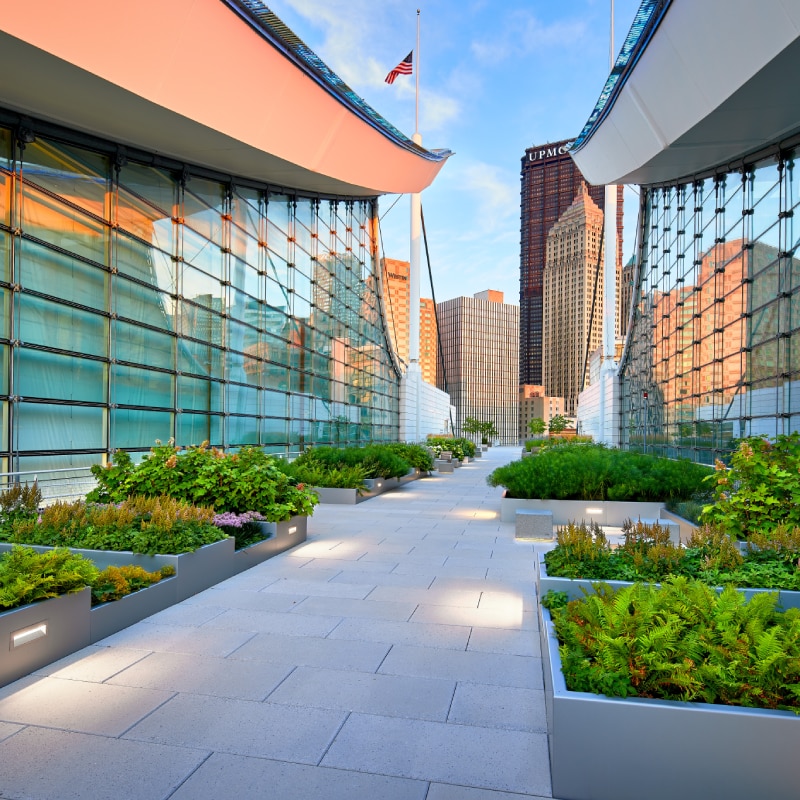 An urban amenity deck with a large vegetated roof and stormwater management system integrated into the plaza space.