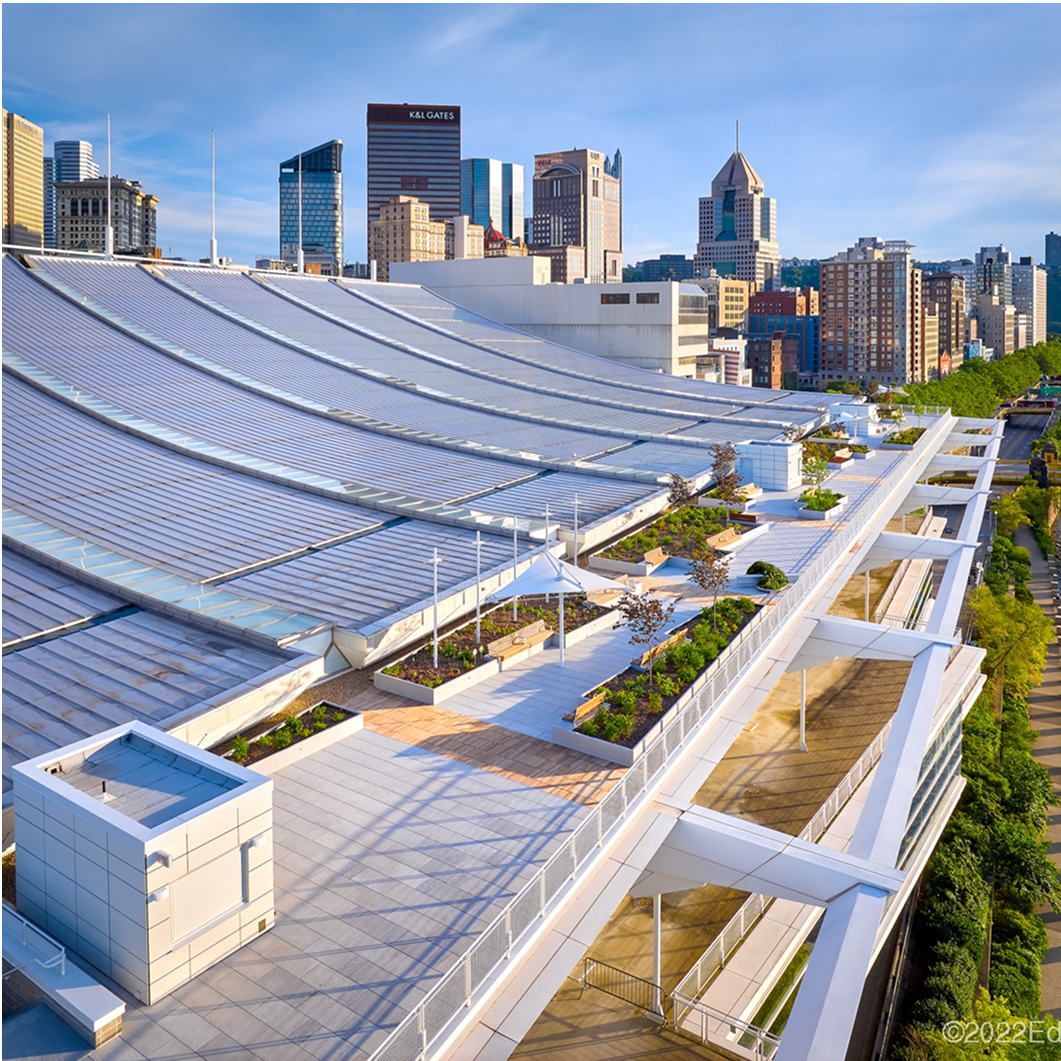 A green roof system on a building, featuring a customized vegetated rooftop with walkways.