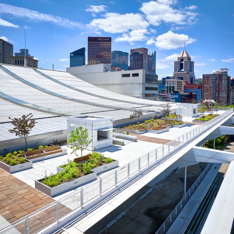 A vegetated roof and amenity deck with a city skyline, representing resources for building owners on roofing solutions.