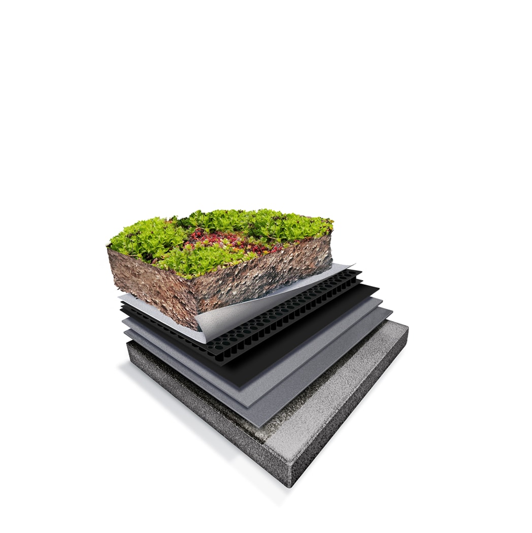 Cross-section of an extensive green roof assembly showing lightweight vegetation and layered drainage components