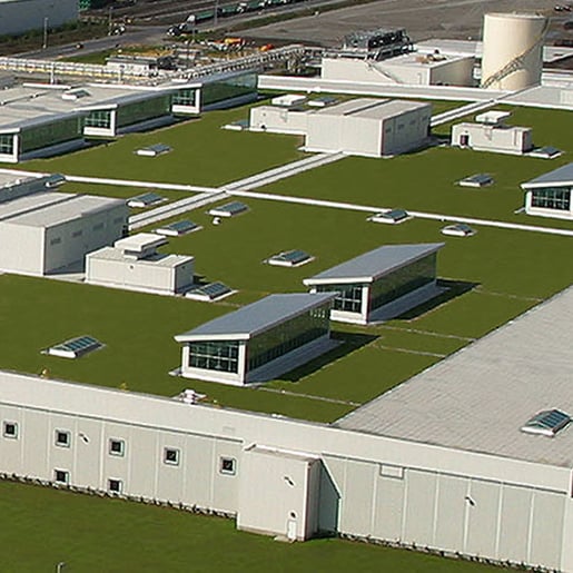 Aerial view of the Ford Truck Plant's 10.4-acre green roof, recognized as the world's largest living roof in 2004.