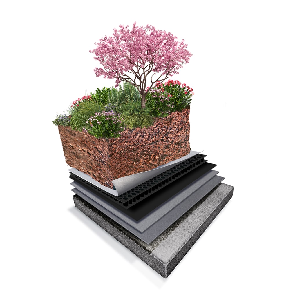 Diagram of an intensive green roof featuring deep soil layers and a small tree, representing diverse plantings