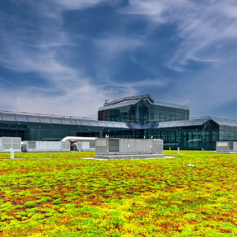 An extensive vegetated roof and plaza deck, illustrating the SBS Waterproofing webinar for plazas and green roofs.