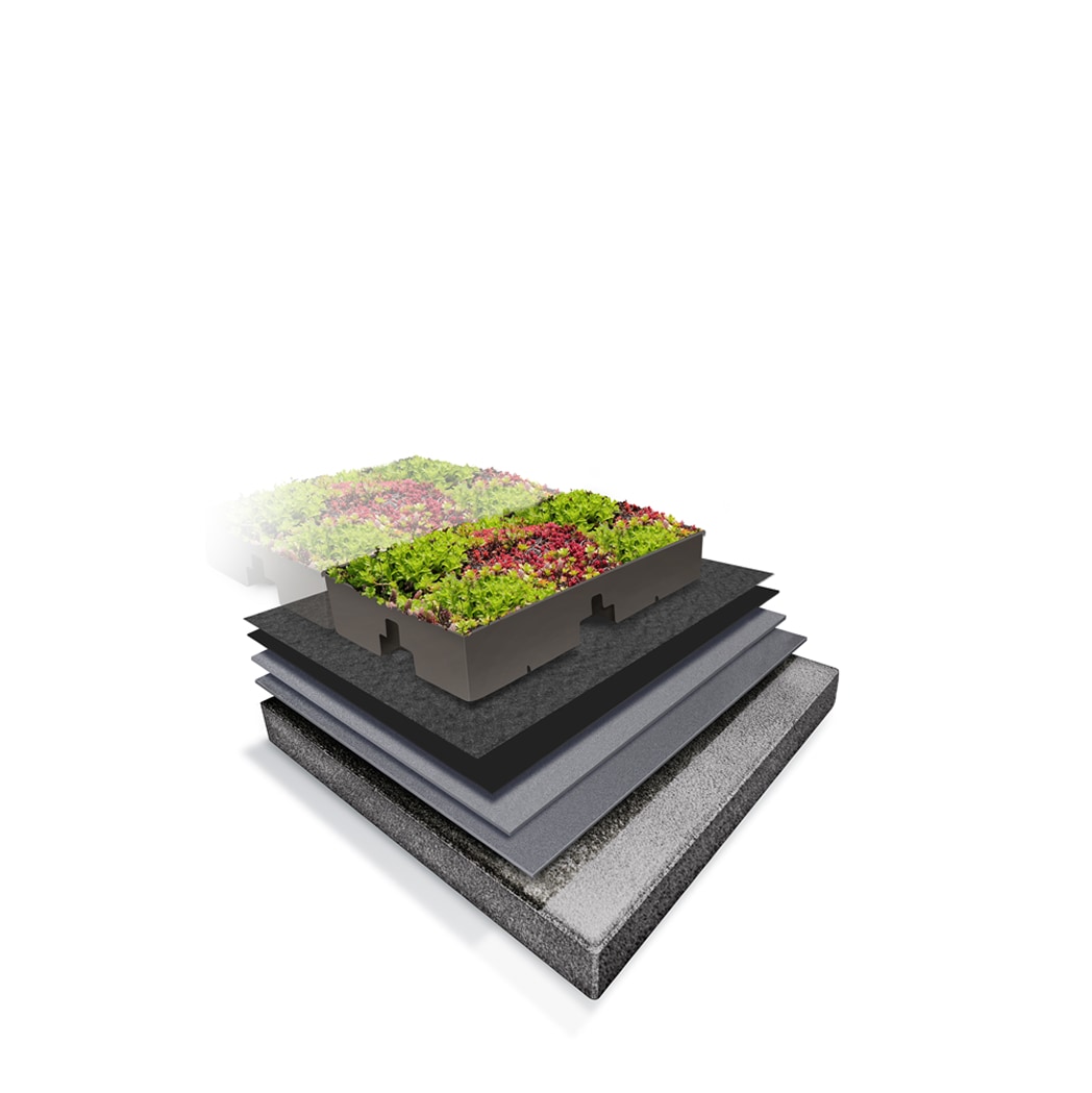 Image of a modular extensive green roof unit with pre-planted vegetation layers in a tray system