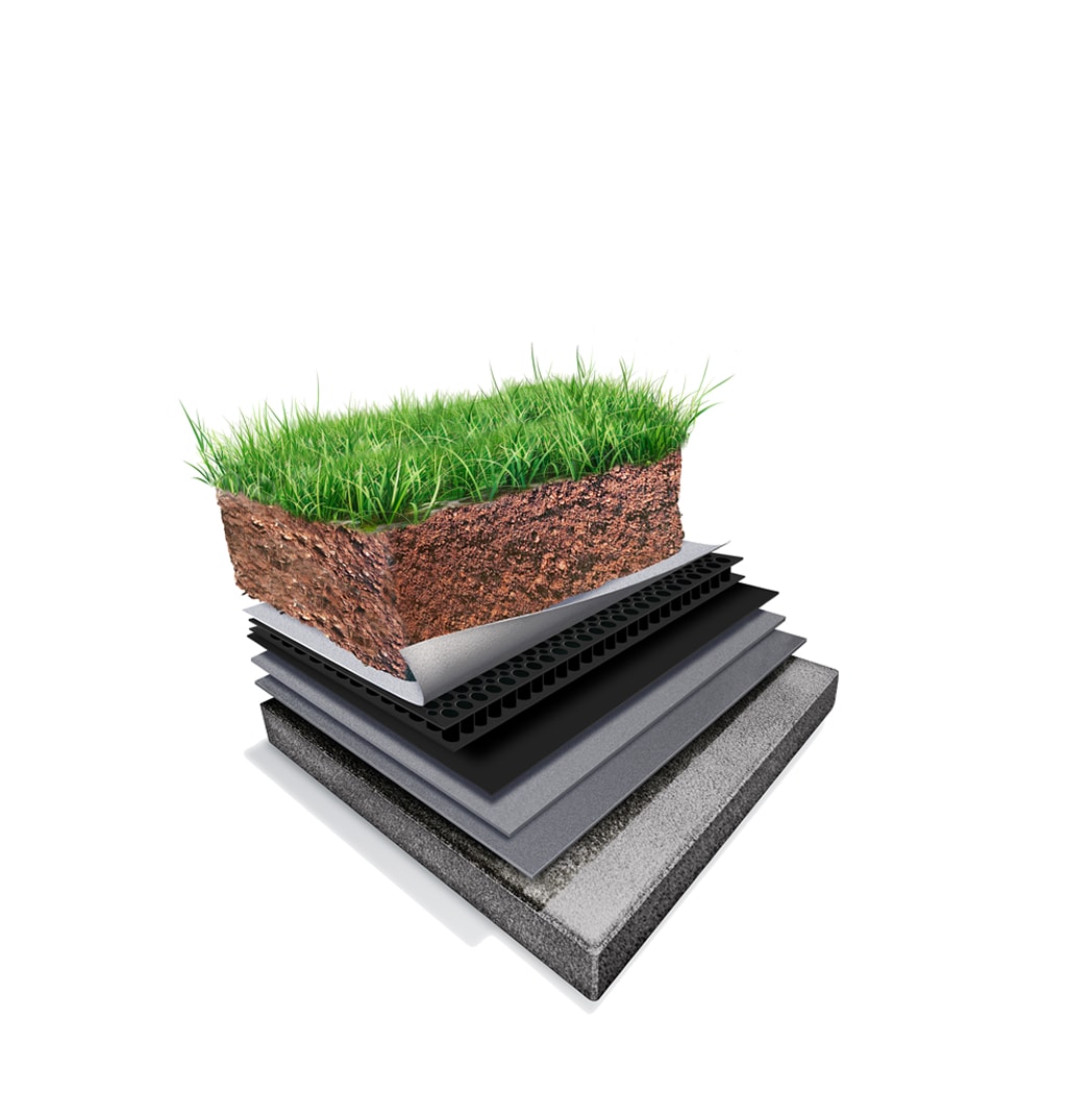 Illustration of a semi-intensive green roof system with grass vegetation and a medium-depth soil profile