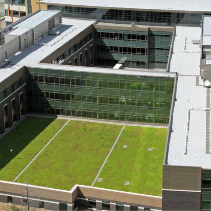 Siplast SBS-modified bitumen commercial roofing on a building green roof.