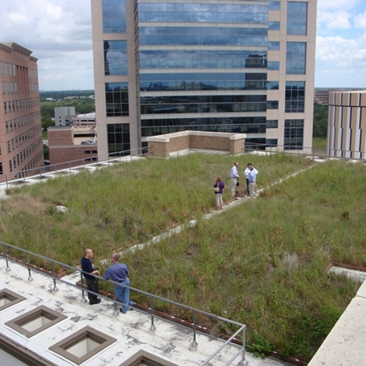 Green roof access for maintenance and repairs