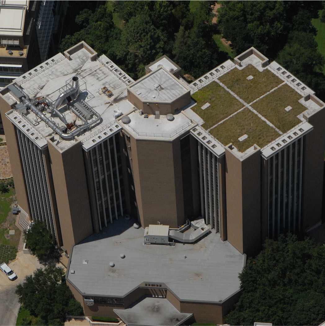 Architectural building with a lush vegetated roof blending into the landscape, showcasing sustainable design and urban green space benefits.