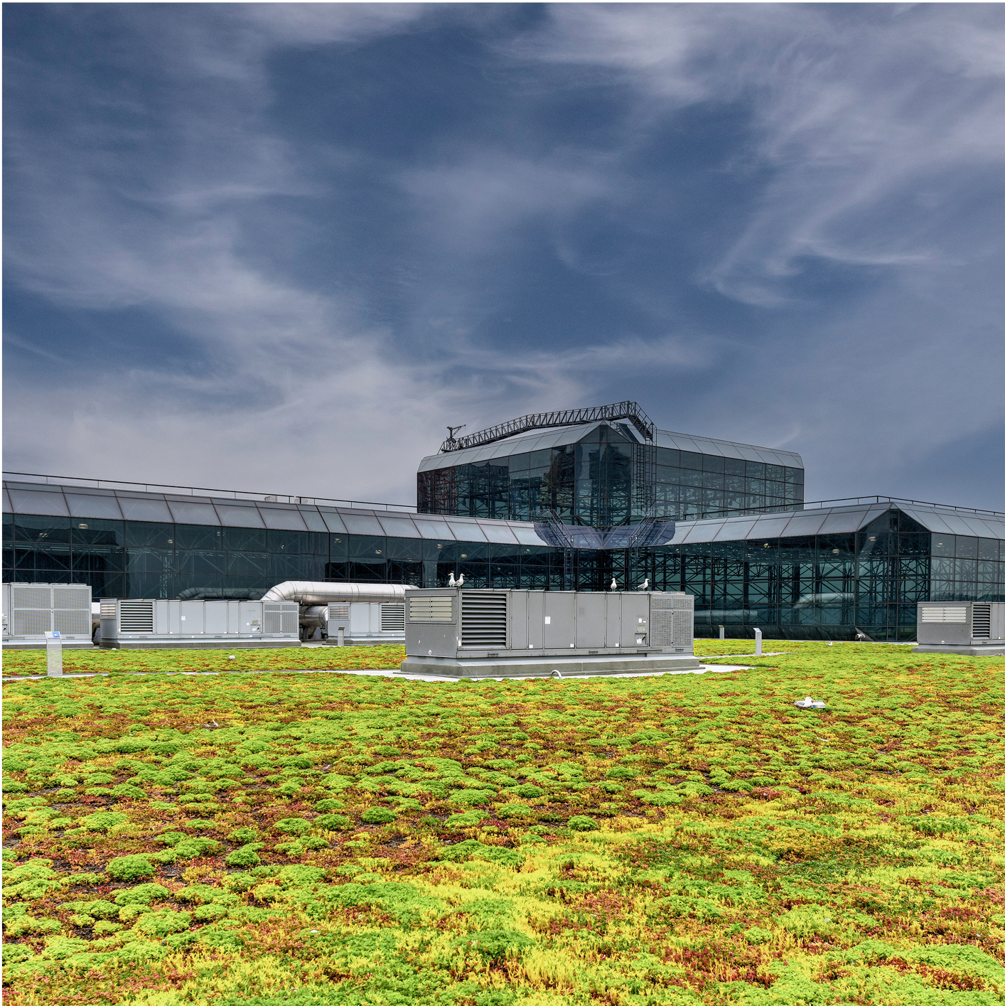 View of a large building with a low-sloped vegetated roof covered in green and yellow sedum, with a glass structure in the background.