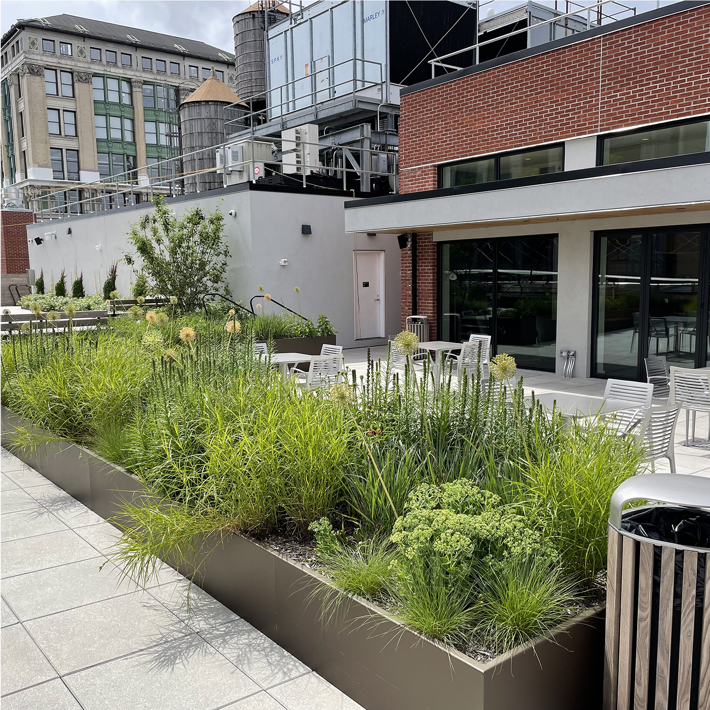 Rooftop patio with outdoor furniture and large planters filled with tall green grasses and various vegetation.