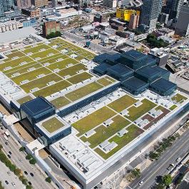 Green roof on Jacob K. Javits Convention Center