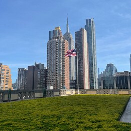 Vegetated roof