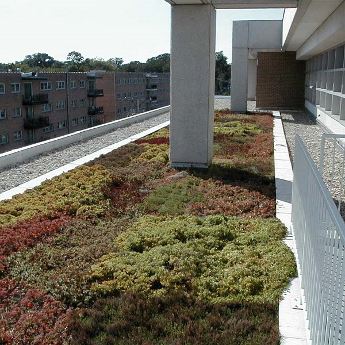 Sustainability Solutions