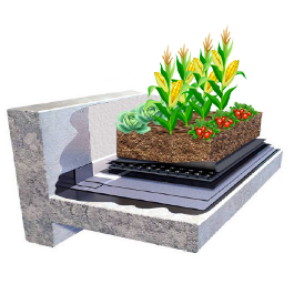 waterproofing-vegetated-roofs