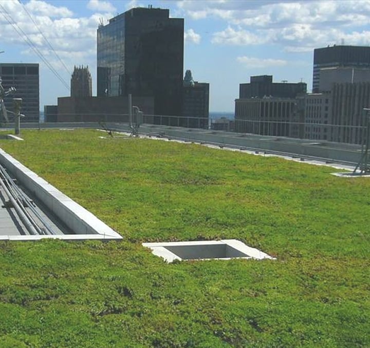 Wind-tested green roof system on a high-rise urban building.