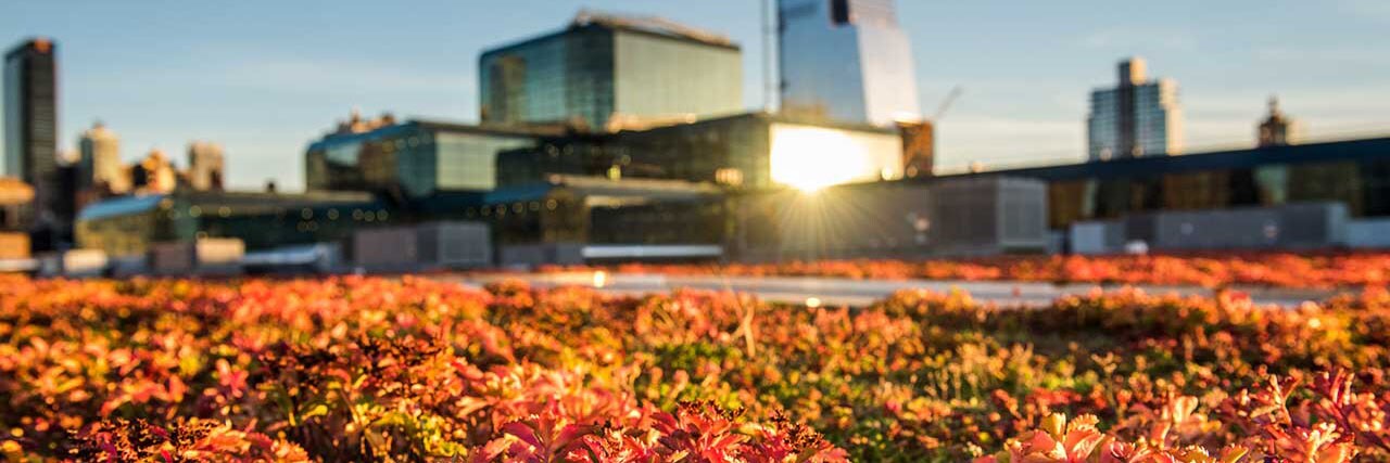 Jacob K. Javits Convention Center