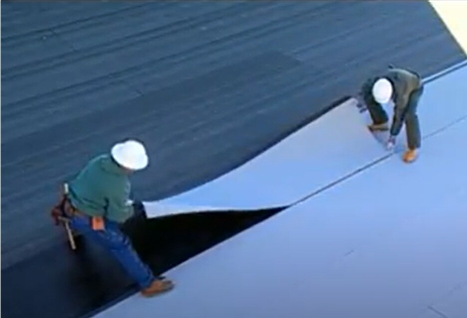 Roofing workers "flying in" pre-cut roofing sheets onto adhesive, an efficient warm weather installation method.