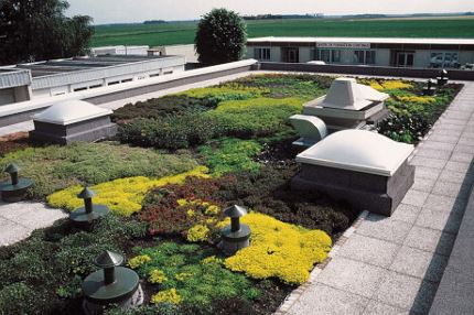 Green Roof Solutions