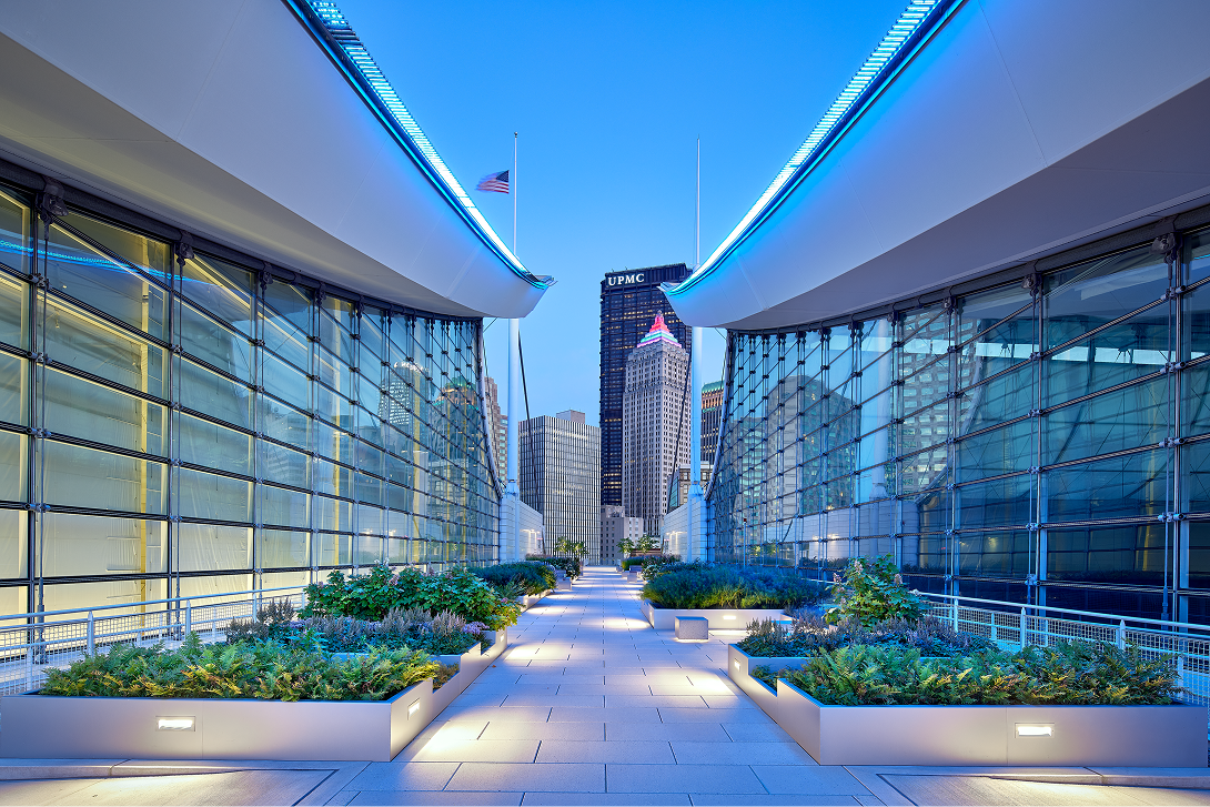 Modern rooftop amenity space with integrated planters and a walkway.