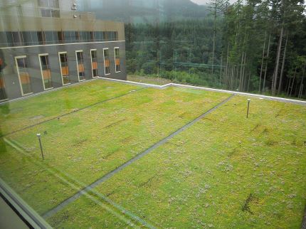 Vegetated Green Roof