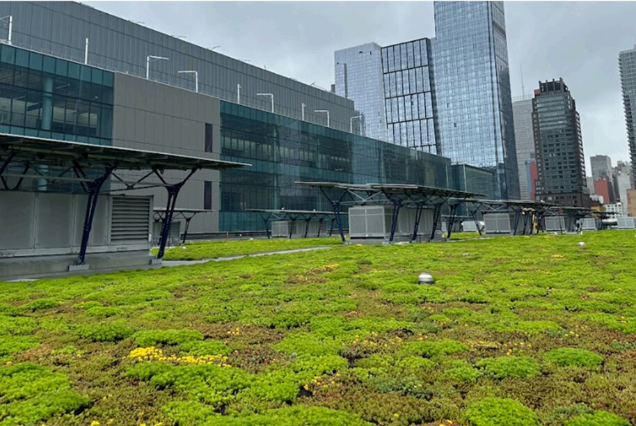 Siplast living roof after installation