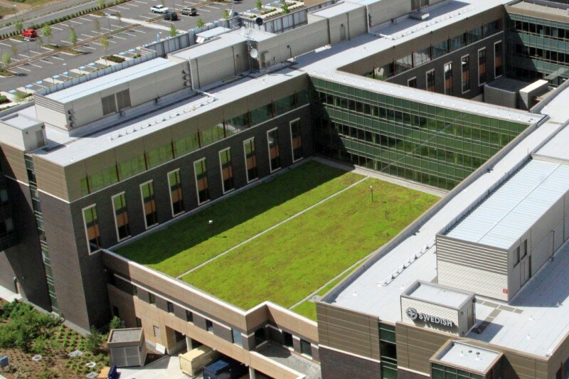 vegetated roof on Swedish Issaquah Hospital in WA