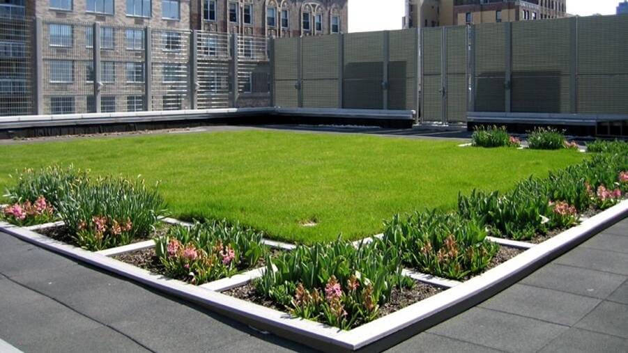 semi-intensive vegetated roof