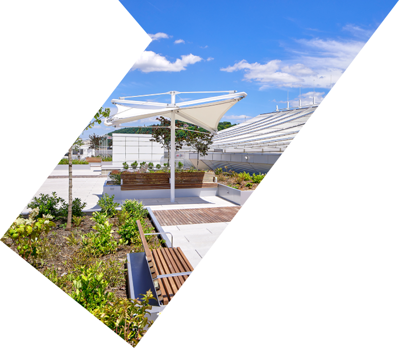 Completed section of a vegetated roof project showing plants and rooftop amenity space