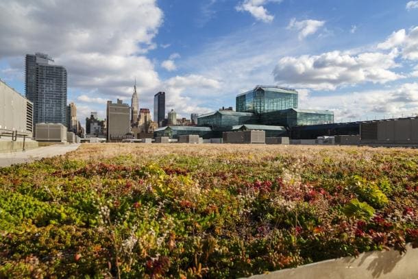 Javits Center in New York City