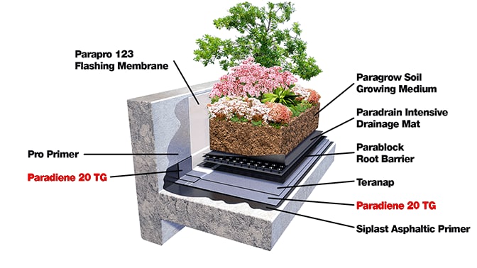 Paradiene 20 for Green and Waterproofing, Torch-Applied 2