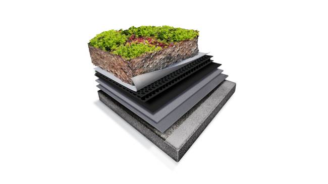 vegetated assembly