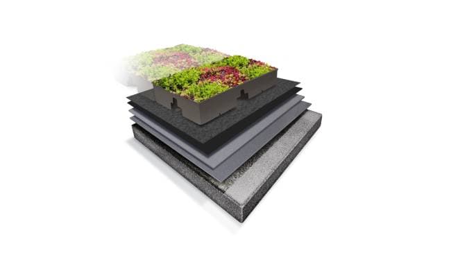vegetated modular assembly