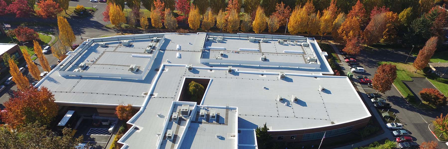 bright white roofing sheets