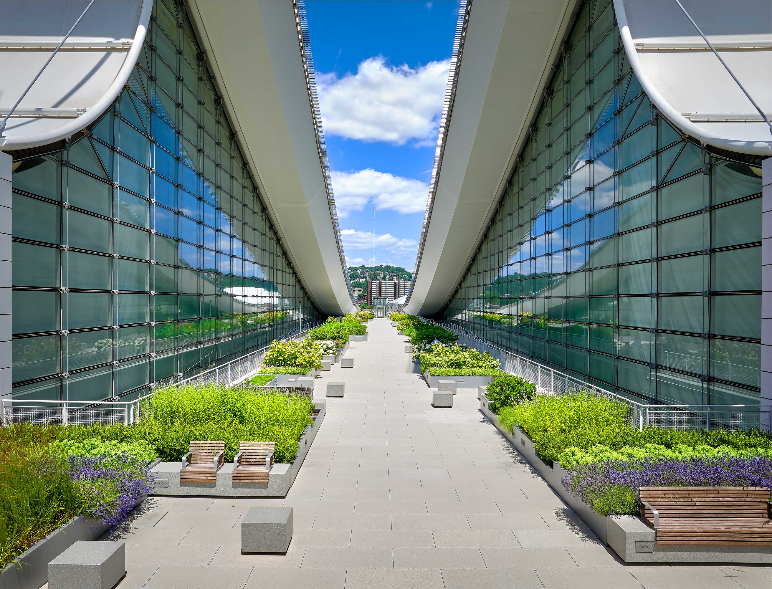 Modern commercial green roof plaza with sloped glass walls, landscaped planters, and benches featuring Siplast vegetative roofing assembly.