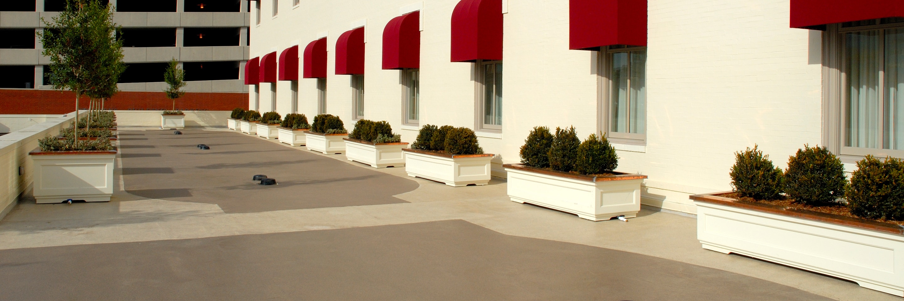 Terapro pedestrian outside the capitol hotel