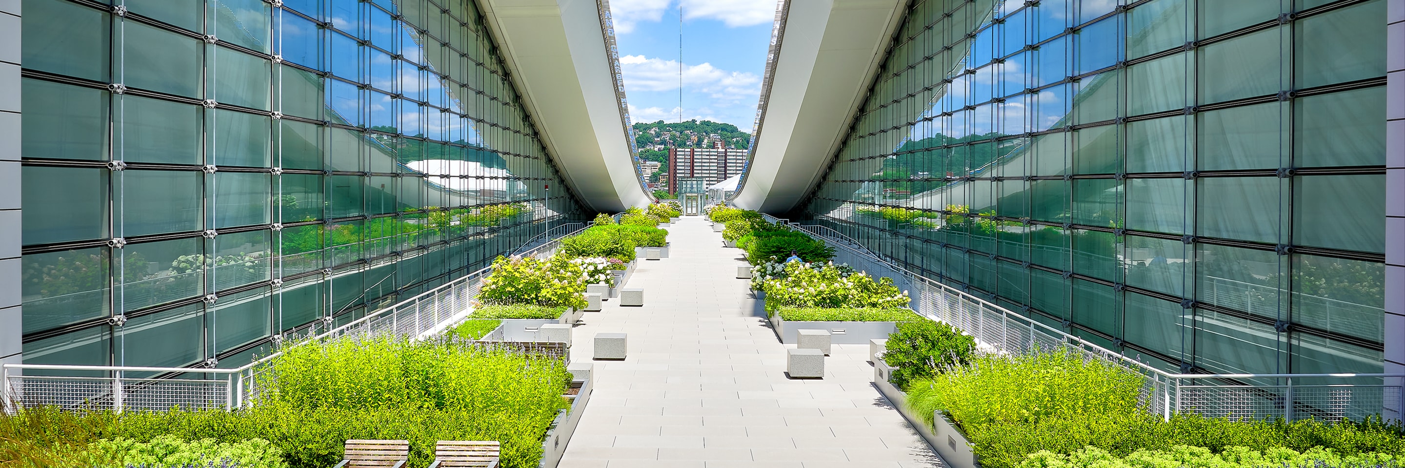Modern commercial green roof plaza with sloped glass walls, landscaped planters, and benches featuring Siplast vegetative roofing assembly.