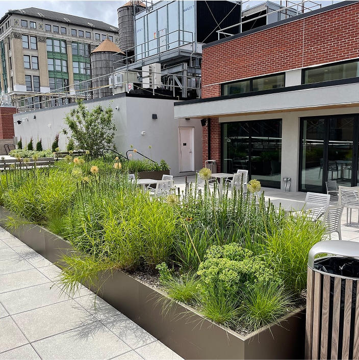 National Geographic green roof with diverse plantings