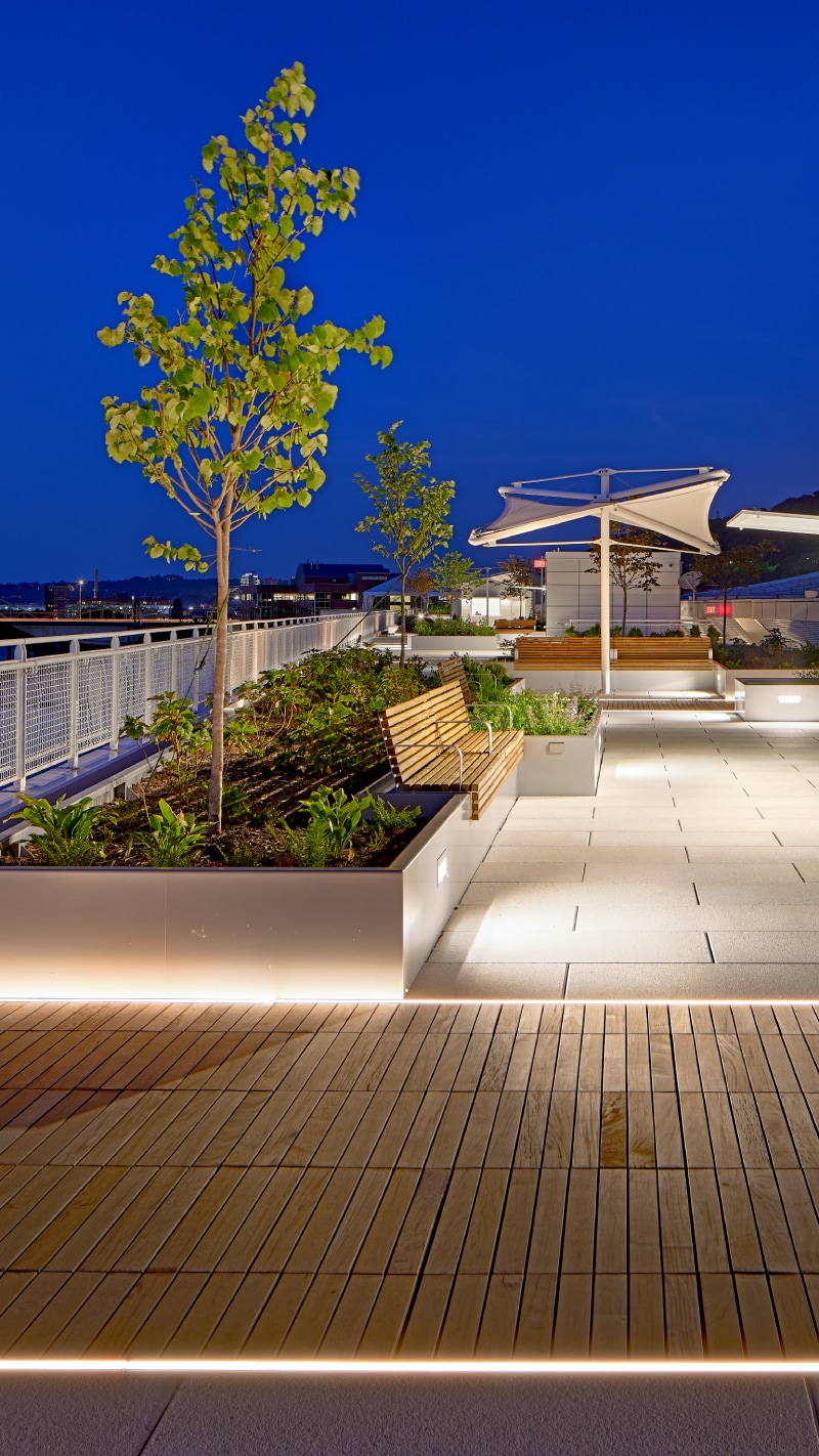 Urban rooftop garden and walkway illuminated at dusk, featuring planters and seating areas