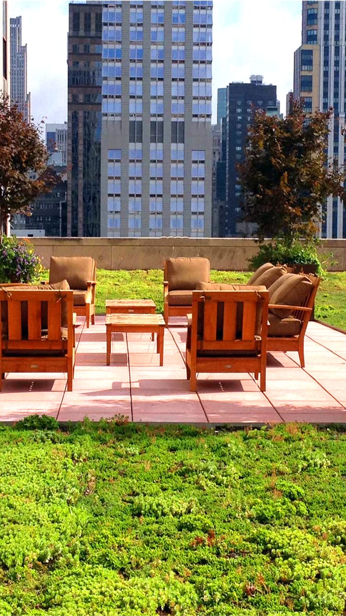 Empire State Building with extensive green roof in foreground