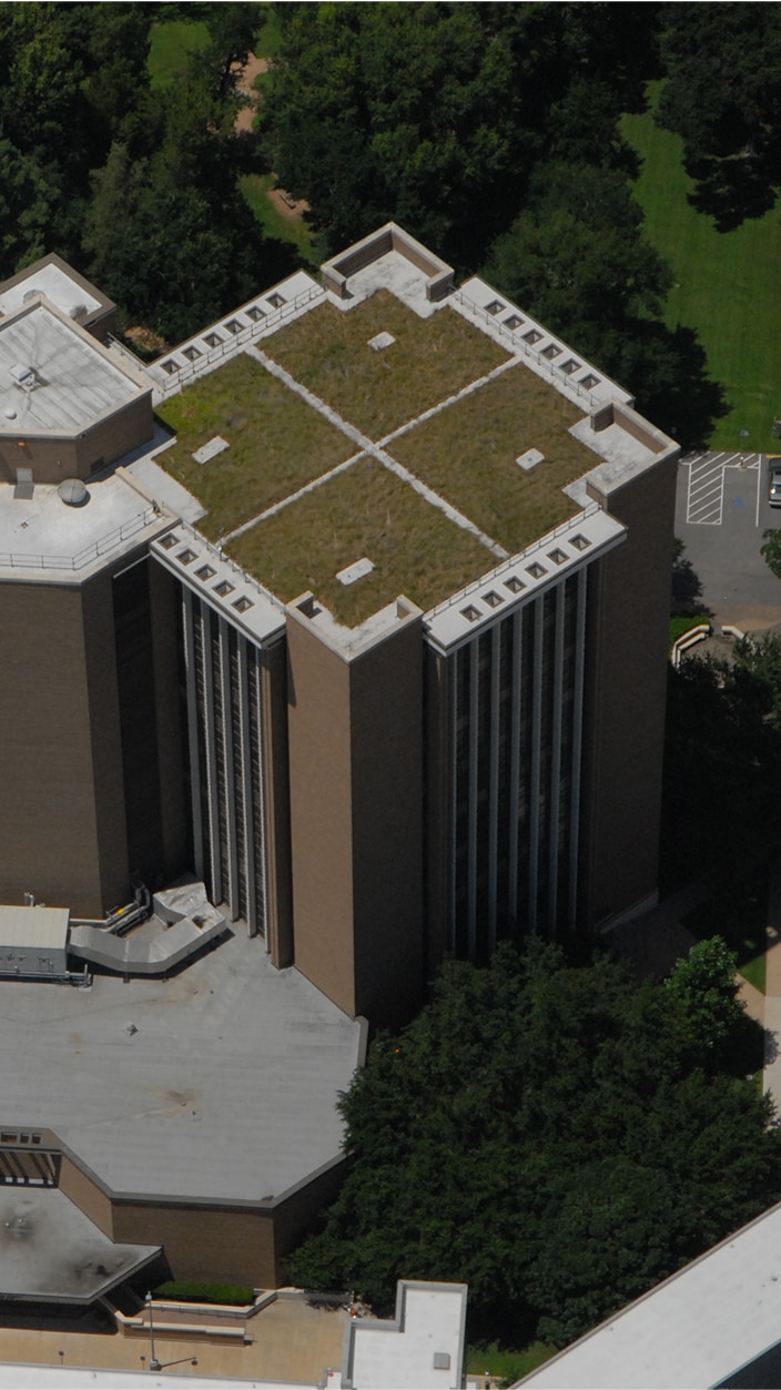 University of Tennessee extensive green roof installation