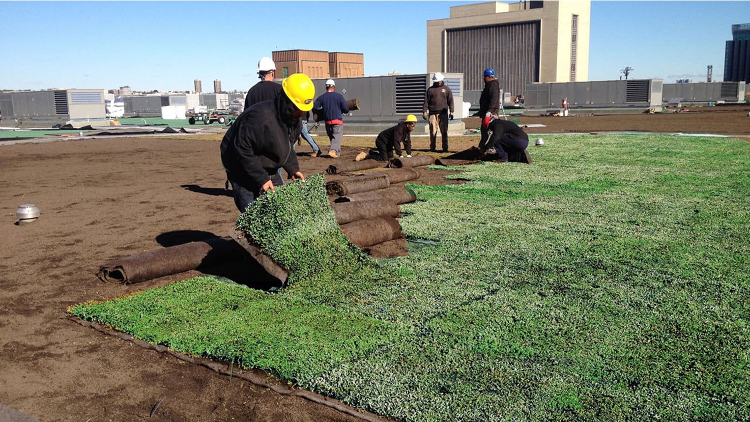Siplast living roof installation within an urban landscape