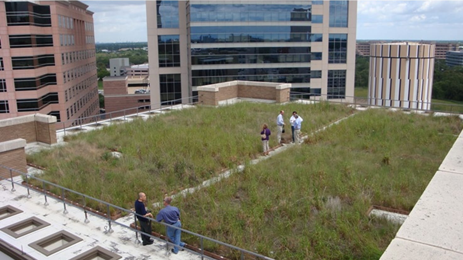 Maintaining a Siplast vegetated roof