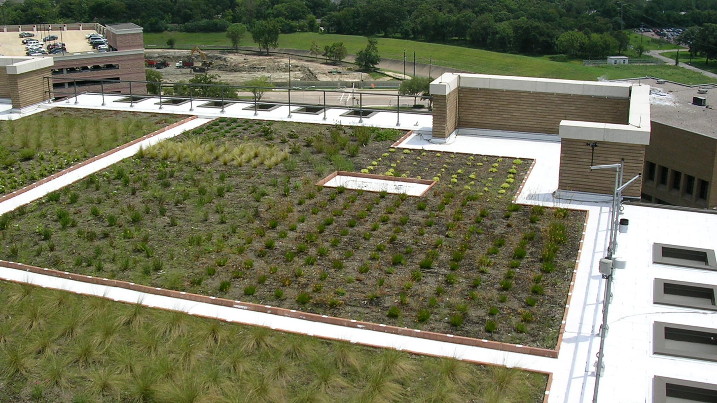 Image for wind-tested vegetated roof solutions validated for both layered and modular designs.