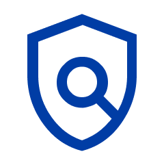 Insurance inspection icon
